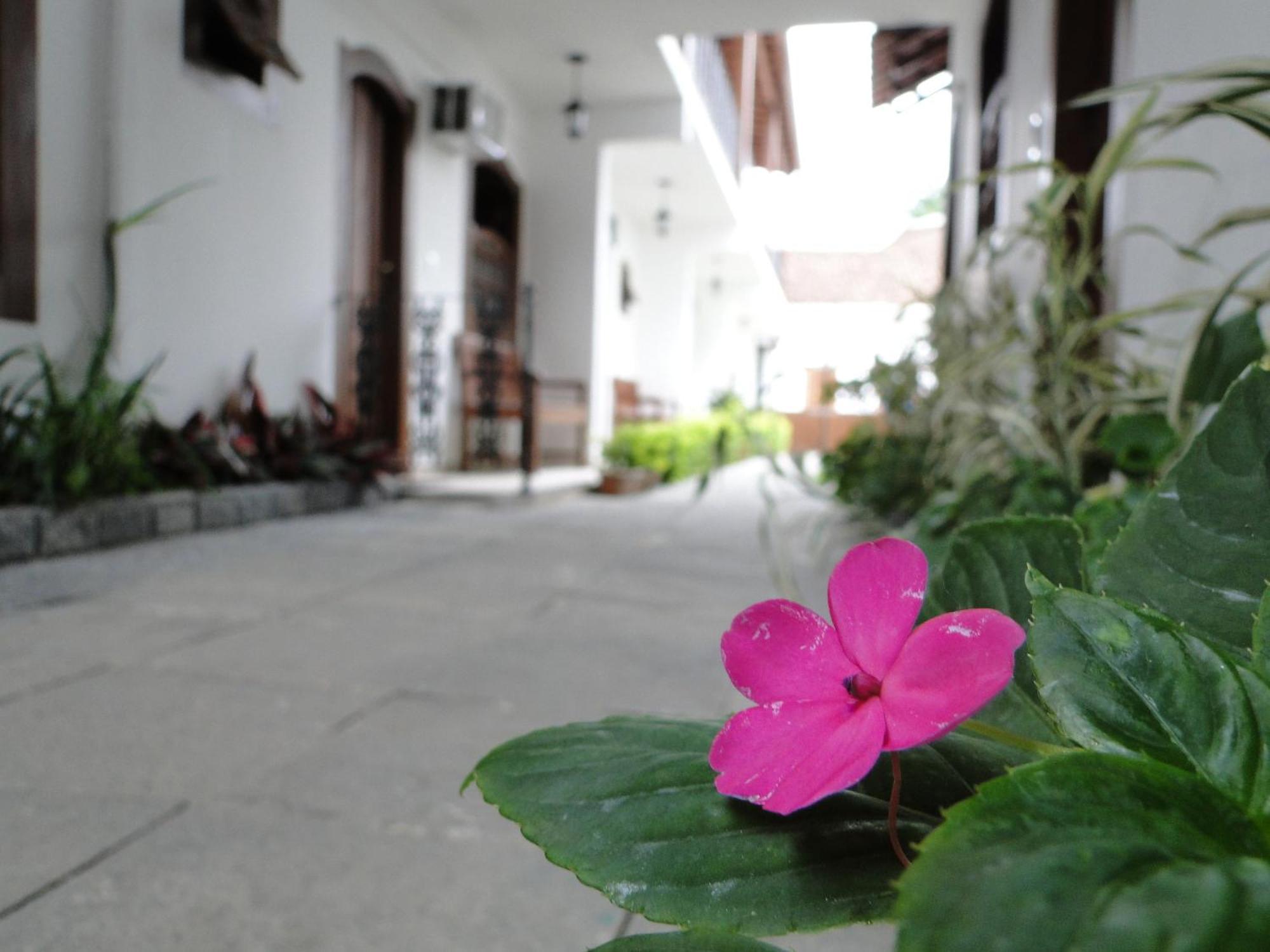 Pousada Doce Paraty Exterior photo